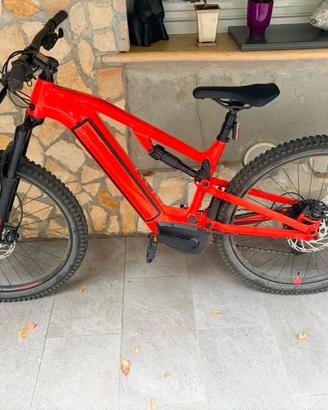 Bicicletta Mtb elettrica a pedalata assistita