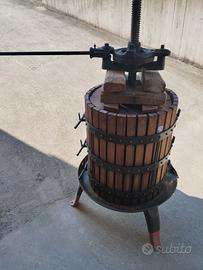torchio