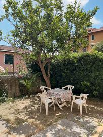 Cervo ( in) alloggio con giardino privato