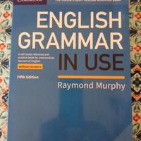 English grammar in use- raymond murphy