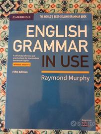 English grammar in use- raymond murphy