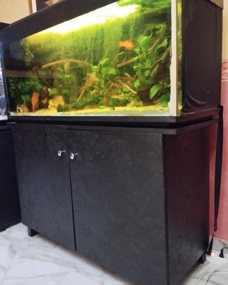 acquario 