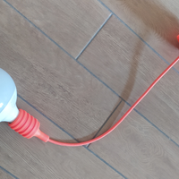 Lampadario comprensivo di lampada
