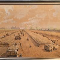 Craffonara Aurelio 'Raccolta'