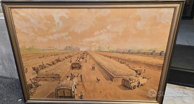 Craffonara Aurelio 'Raccolta'