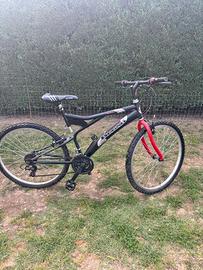 Mountain bike