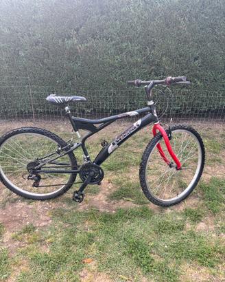 Mountain bike