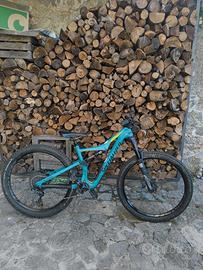Bicicletta enduro Specialized