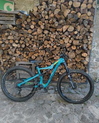 Bicicletta enduro Specialized