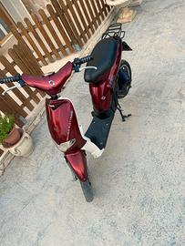 Bicicletta elettrica
