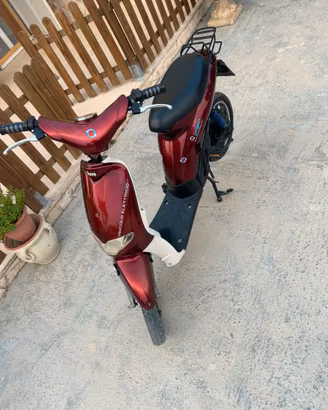 Bicicletta elettrica