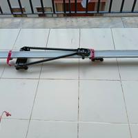 Portabici da tettuccio auto