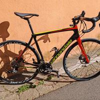 mtb /road reant bike noleggio 