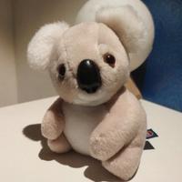 peluche koala