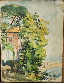 Antico dipinto acquerello firmato Ugo Matania '800