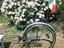 Immagine 6