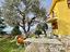 Immagine 8