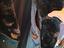 Immagine 3