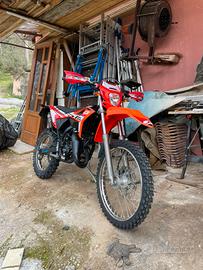 Beta 50 rr enduro 2024