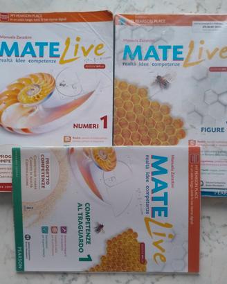 Matelive 1 matematica Per la scuola media 