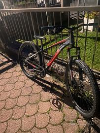 Bici sierra