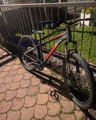 Bici sierra