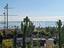 Immagine 29