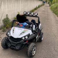 Auto telecomandata