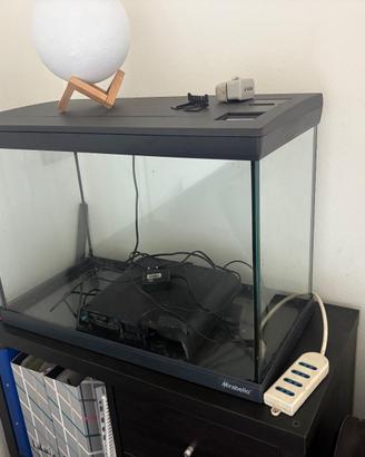Acquario 70 lt mirabello