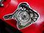Immagine 12