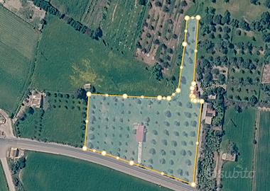 Casa in campagna con grande terreno