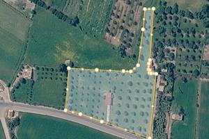 Casa in campagna con grande terreno