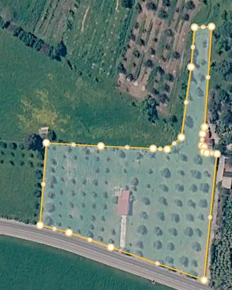 Casa in campagna con grande terreno