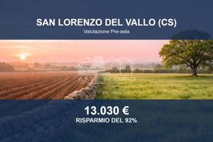 Immobile in asta di 51840 m² a San Lorenzo del Val