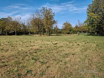 Terreno agricolo