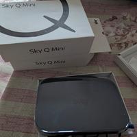 2 sky q mini
