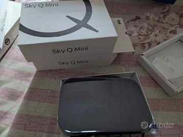 2 sky q mini