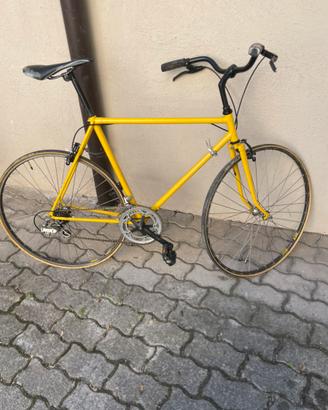 Bicletta turismo