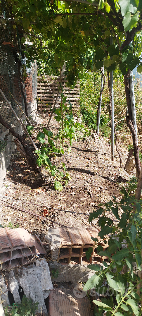 Casa a tufillo con terreno - Vista 5