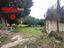 Immagine 16