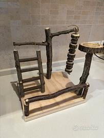 Palestrina Pappagalli