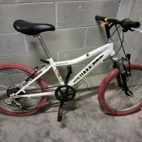 bici silvestar da bambino 