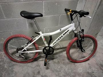 bici silvestar da bambino 