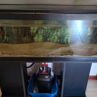 Acquario 100 litri completo