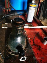 Cric camincino