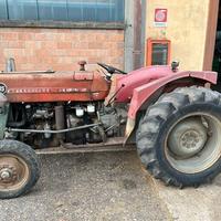 TRATTORE MF135