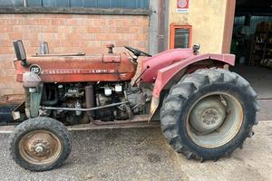TRATTORE MF135