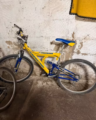 Bicicletta