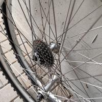 Ruote MTB 26 Shimano Deore + Ritchey Vantage Comp