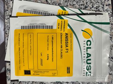 Semi Pomodoro e Melanzane